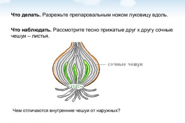 Кракен торговая площадка даркнет