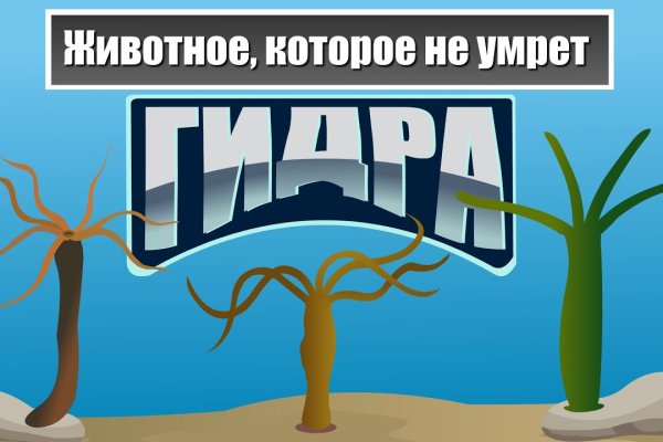 Kraken рабочая ссылка onion
