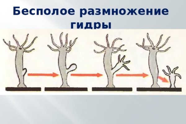 Кракен адрес даркнет