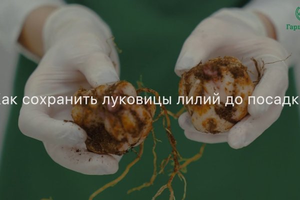 Сайт кракен гидра