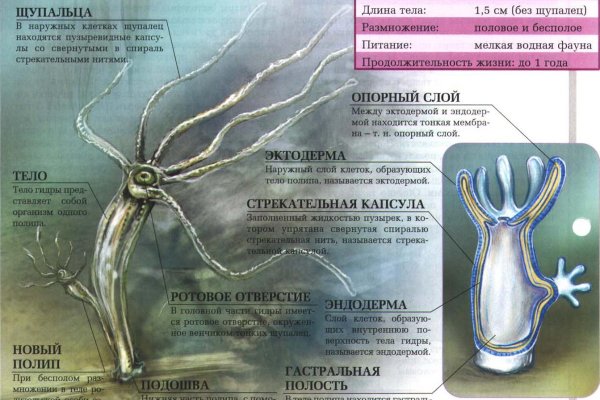 Кракен магазин kraken clear com