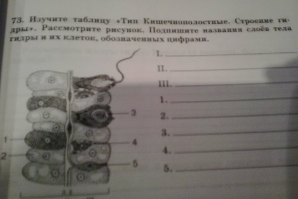 Гидра сайт в тор браузере ссылка