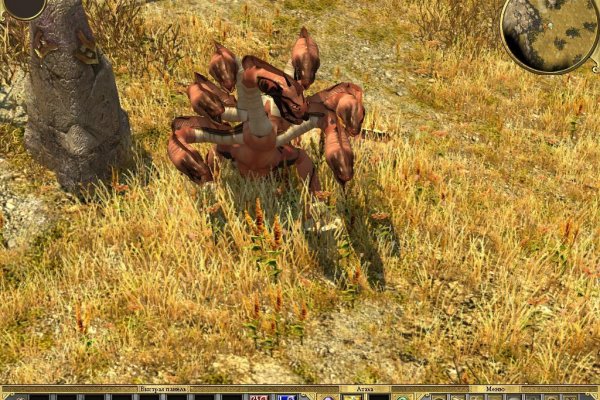 Kraken19 at
