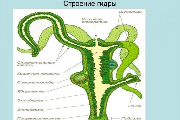 Kra34.cc