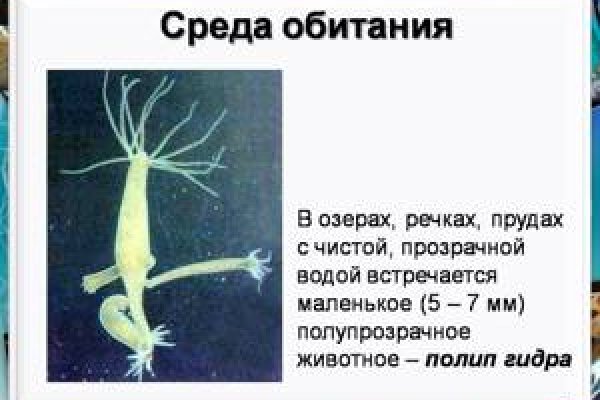Кракен что там продают
